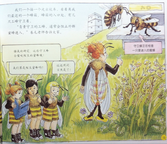 奇妙的蜂巢-神奇校车图画书版