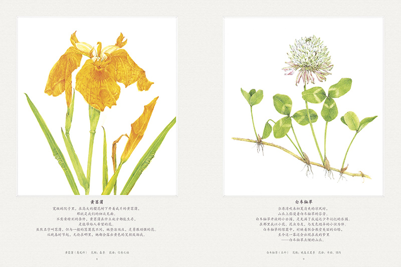 熊田千佳慕·花的世界(全4册)